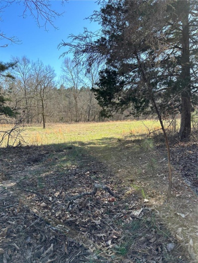 0 Log RD, Patterson, Missouri 63956, 2 Bedrooms Bedrooms, 6 Rooms Rooms,2 BathroomsBathrooms,Farm,For Sale,Log RD,MAR25017390