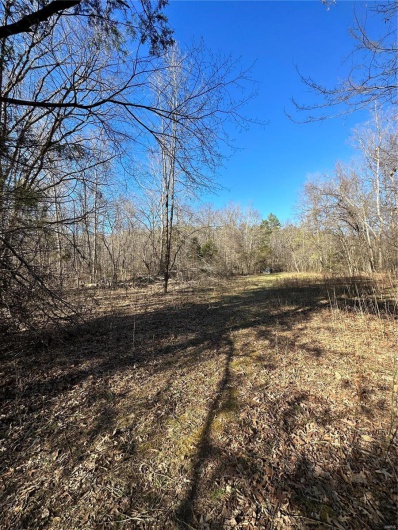 0 Log RD, Patterson, Missouri 63956, 2 Bedrooms Bedrooms, 6 Rooms Rooms,2 BathroomsBathrooms,Farm,For Sale,Log RD,MAR25017390