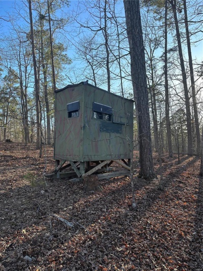 0 Log RD, Patterson, Missouri 63956, 2 Bedrooms Bedrooms, 6 Rooms Rooms,2 BathroomsBathrooms,Farm,For Sale,Log RD,MAR25017390