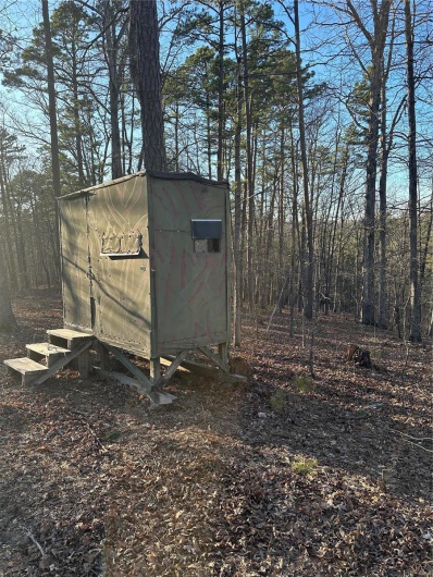 0 Log RD, Patterson, Missouri 63956, 2 Bedrooms Bedrooms, 6 Rooms Rooms,2 BathroomsBathrooms,Farm,For Sale,Log RD,MAR25017390