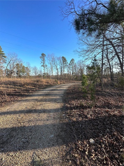0 Log RD, Patterson, Missouri 63956, 2 Bedrooms Bedrooms, 6 Rooms Rooms,2 BathroomsBathrooms,Farm,For Sale,Log RD,MAR25017390
