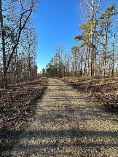 0 Log RD, Patterson, Missouri 63956, 2 Bedrooms Bedrooms, 6 Rooms Rooms,2 BathroomsBathrooms,Farm,For Sale,Log RD,MAR25017390