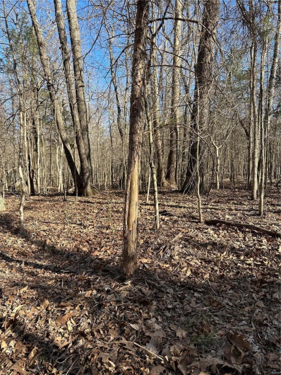 0 Log RD, Patterson, Missouri 63956, 2 Bedrooms Bedrooms, 6 Rooms Rooms,2 BathroomsBathrooms,Farm,For Sale,Log RD,MAR25017390
