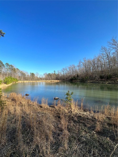 0 Log RD, Patterson, Missouri 63956, 2 Bedrooms Bedrooms, 6 Rooms Rooms,2 BathroomsBathrooms,Farm,For Sale,Log RD,MAR25017390