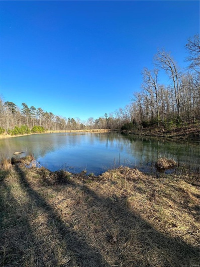 0 Log RD, Patterson, Missouri 63956, 2 Bedrooms Bedrooms, 6 Rooms Rooms,2 BathroomsBathrooms,Farm,For Sale,Log RD,MAR25017390