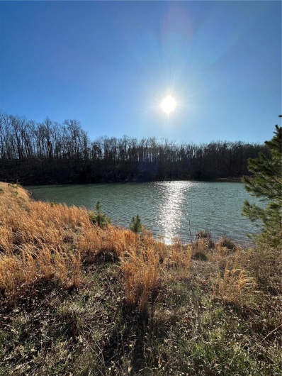 0 Log RD, Patterson, Missouri 63956, 2 Bedrooms Bedrooms, 6 Rooms Rooms,2 BathroomsBathrooms,Farm,For Sale,Log RD,MAR25017390
