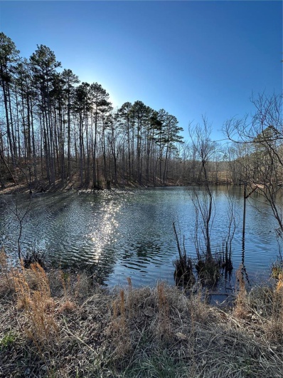 0 Log RD, Patterson, Missouri 63956, 2 Bedrooms Bedrooms, 6 Rooms Rooms,2 BathroomsBathrooms,Farm,For Sale,Log RD,MAR25017390