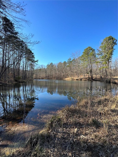 0 Log RD, Patterson, Missouri 63956, 2 Bedrooms Bedrooms, 6 Rooms Rooms,2 BathroomsBathrooms,Farm,For Sale,Log RD,MAR25017390