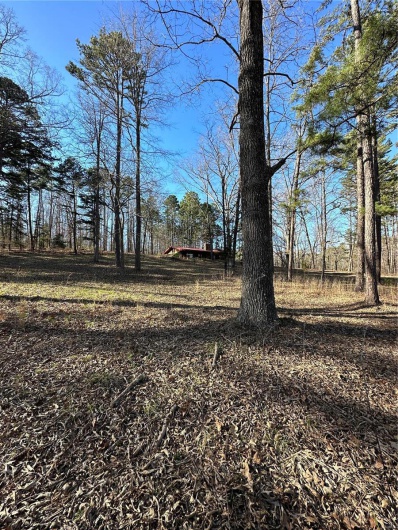 0 Log RD, Patterson, Missouri 63956, 2 Bedrooms Bedrooms, 6 Rooms Rooms,2 BathroomsBathrooms,Farm,For Sale,Log RD,MAR25017390