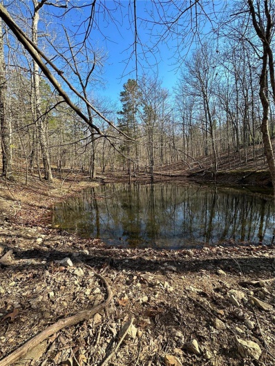 0 Log RD, Patterson, Missouri 63956, 2 Bedrooms Bedrooms, 6 Rooms Rooms,2 BathroomsBathrooms,Farm,For Sale,Log RD,MAR25017390