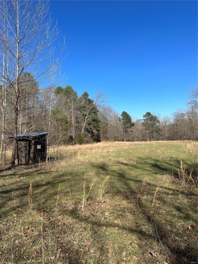 0 Log RD, Patterson, Missouri 63956, 2 Bedrooms Bedrooms, 6 Rooms Rooms,2 BathroomsBathrooms,Farm,For Sale,Log RD,MAR25017390