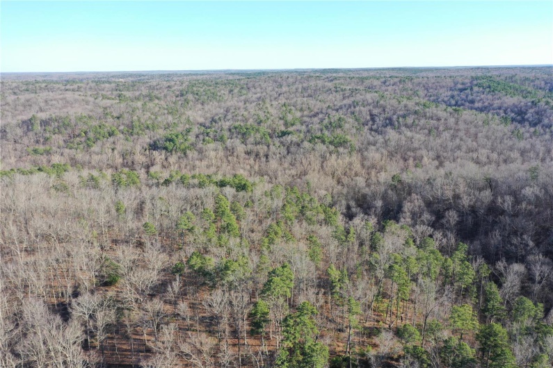 0 Log RD, Patterson, Missouri 63956, 2 Bedrooms Bedrooms, 6 Rooms Rooms,2 BathroomsBathrooms,Farm,For Sale,Log RD,MAR25017390