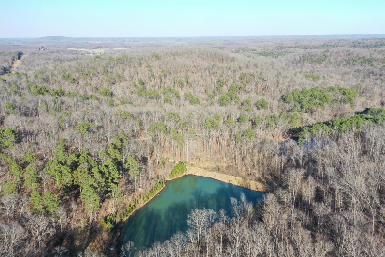 0 Log RD, Patterson, Missouri 63956, 2 Bedrooms Bedrooms, 6 Rooms Rooms,2 BathroomsBathrooms,Farm,For Sale,Log RD,MAR25017390