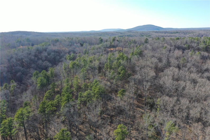 0 Log RD, Patterson, Missouri 63956, 2 Bedrooms Bedrooms, 6 Rooms Rooms,2 BathroomsBathrooms,Farm,For Sale,Log RD,MAR25017390