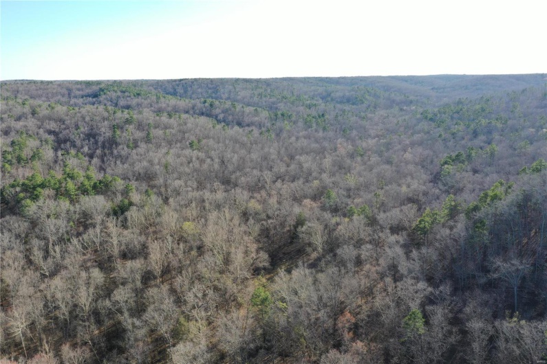 0 Log RD, Patterson, Missouri 63956, 2 Bedrooms Bedrooms, 6 Rooms Rooms,2 BathroomsBathrooms,Farm,For Sale,Log RD,MAR25017390
