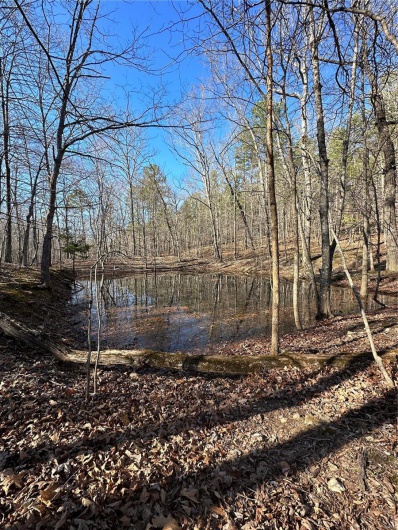 0 Log RD, Patterson, Missouri 63956, 2 Bedrooms Bedrooms, 6 Rooms Rooms,2 BathroomsBathrooms,Farm,For Sale,Log RD,MAR25017390