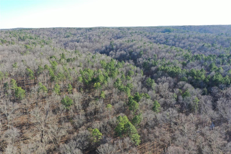 0 Log RD, Patterson, Missouri 63956, 2 Bedrooms Bedrooms, 6 Rooms Rooms,2 BathroomsBathrooms,Farm,For Sale,Log RD,MAR25017390