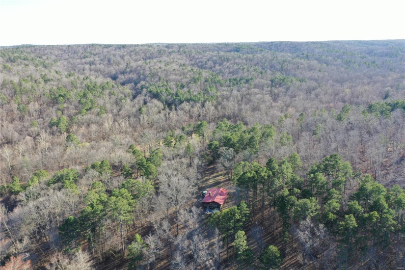 0 Log RD, Patterson, Missouri 63956, 2 Bedrooms Bedrooms, 6 Rooms Rooms,2 BathroomsBathrooms,Farm,For Sale,Log RD,MAR25017390