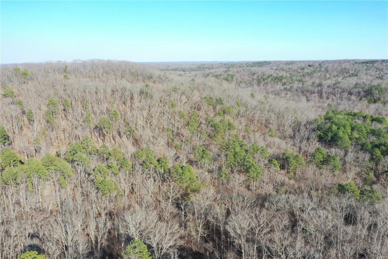 0 Log RD, Patterson, Missouri 63956, 2 Bedrooms Bedrooms, 6 Rooms Rooms,2 BathroomsBathrooms,Farm,For Sale,Log RD,MAR25017390