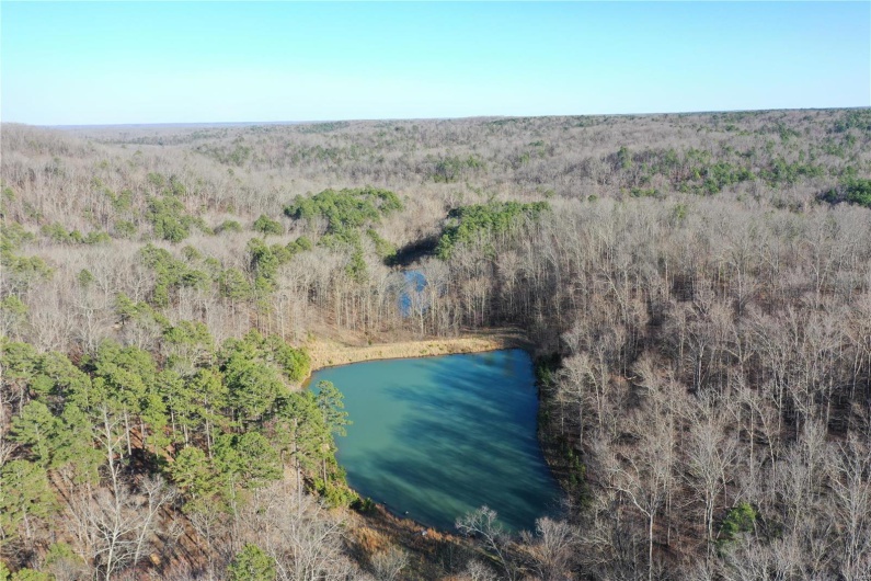 0 Log RD, Patterson, Missouri 63956, 2 Bedrooms Bedrooms, 6 Rooms Rooms,2 BathroomsBathrooms,Farm,For Sale,Log RD,MAR25017390
