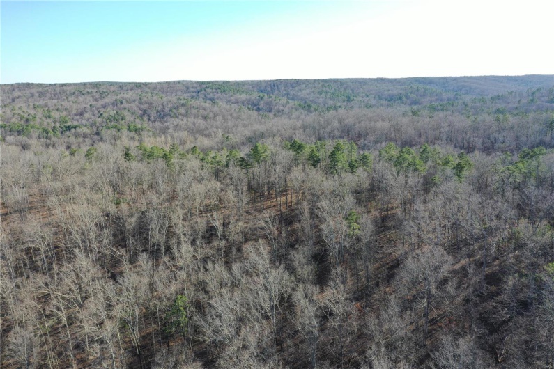 0 Log RD, Patterson, Missouri 63956, 2 Bedrooms Bedrooms, 6 Rooms Rooms,2 BathroomsBathrooms,Farm,For Sale,Log RD,MAR25017390