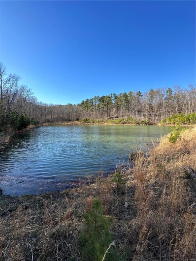 0 Log RD, Patterson, Missouri 63956, 2 Bedrooms Bedrooms, 6 Rooms Rooms,2 BathroomsBathrooms,Farm,For Sale,Log RD,MAR25017390