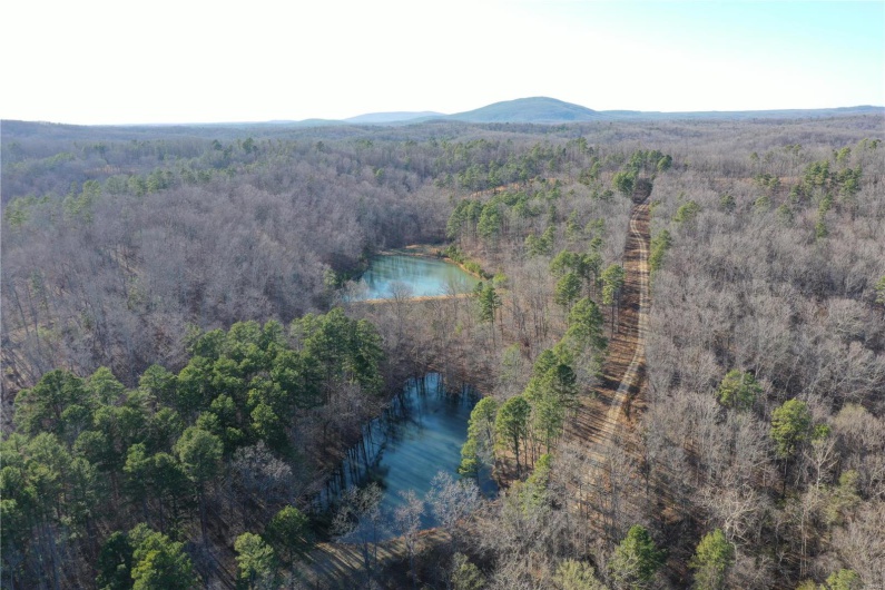 0 Log RD, Patterson, Missouri 63956, 2 Bedrooms Bedrooms, 6 Rooms Rooms,2 BathroomsBathrooms,Farm,For Sale,Log RD,MAR25017390