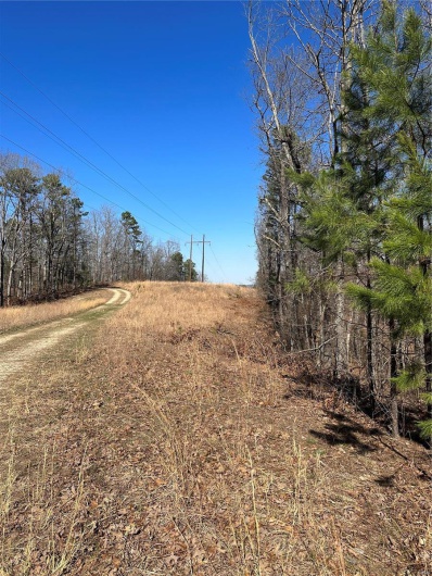 0 Log RD, Patterson, Missouri 63956, 2 Bedrooms Bedrooms, 6 Rooms Rooms,2 BathroomsBathrooms,Farm,For Sale,Log RD,MAR25017390
