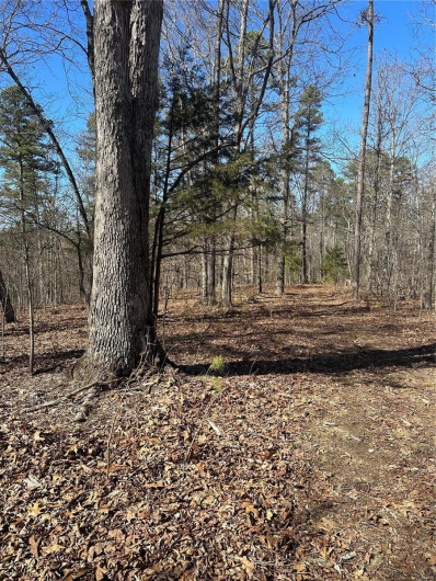 0 Log RD, Patterson, Missouri 63956, 2 Bedrooms Bedrooms, 6 Rooms Rooms,2 BathroomsBathrooms,Farm,For Sale,Log RD,MAR25017390