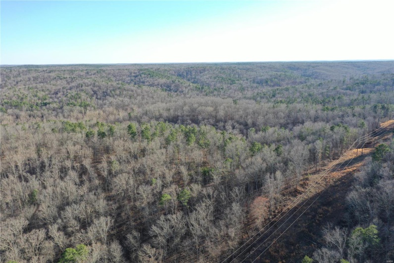 0 Log RD, Patterson, Missouri 63956, 2 Bedrooms Bedrooms, 6 Rooms Rooms,2 BathroomsBathrooms,Farm,For Sale,Log RD,MAR25017390