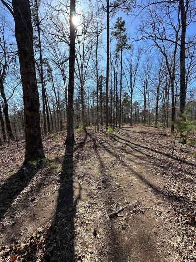 0 Log RD, Patterson, Missouri 63956, 2 Bedrooms Bedrooms, 6 Rooms Rooms,2 BathroomsBathrooms,Farm,For Sale,Log RD,MAR25017390