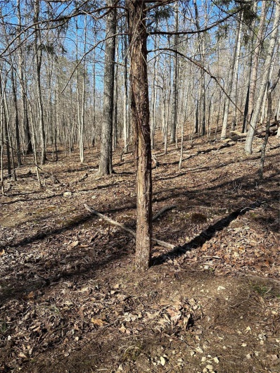0 Log RD, Patterson, Missouri 63956, 2 Bedrooms Bedrooms, 6 Rooms Rooms,2 BathroomsBathrooms,Farm,For Sale,Log RD,MAR25017390