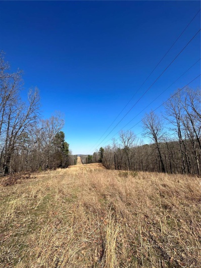 0 Log RD, Patterson, Missouri 63956, 2 Bedrooms Bedrooms, 6 Rooms Rooms,2 BathroomsBathrooms,Farm,For Sale,Log RD,MAR25017390