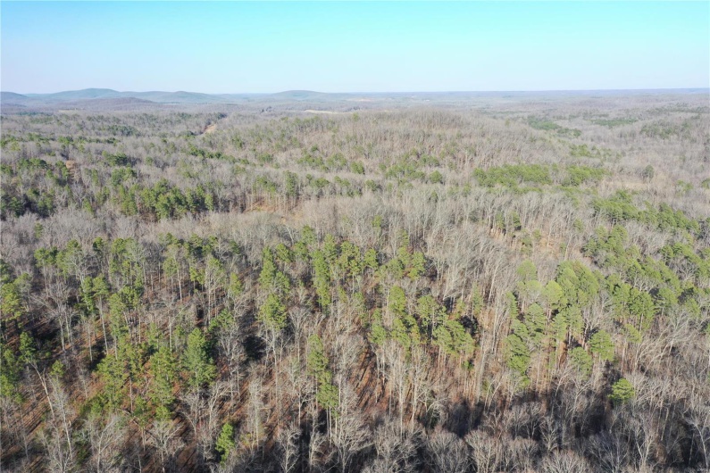 0 Log RD, Patterson, Missouri 63956, 2 Bedrooms Bedrooms, 6 Rooms Rooms,2 BathroomsBathrooms,Farm,For Sale,Log RD,MAR25017390