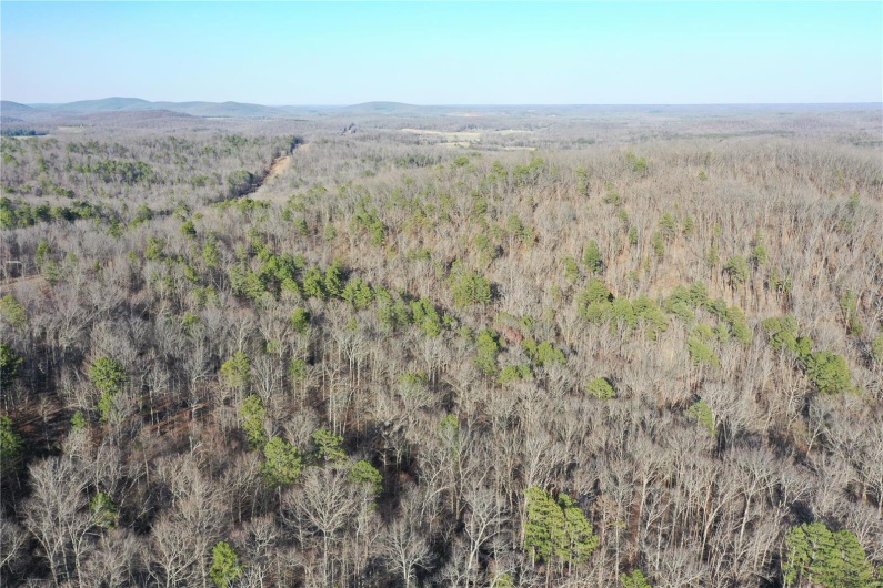 0 Log RD, Patterson, Missouri 63956, 2 Bedrooms Bedrooms, 6 Rooms Rooms,2 BathroomsBathrooms,Farm,For Sale,Log RD,MAR25017390