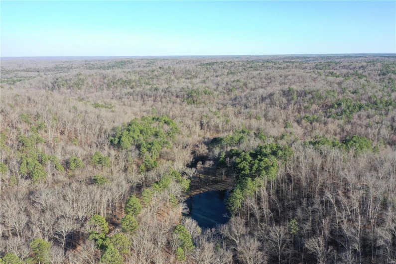 0 Log RD, Patterson, Missouri 63956, 2 Bedrooms Bedrooms, 6 Rooms Rooms,2 BathroomsBathrooms,Farm,For Sale,Log RD,MAR25017390