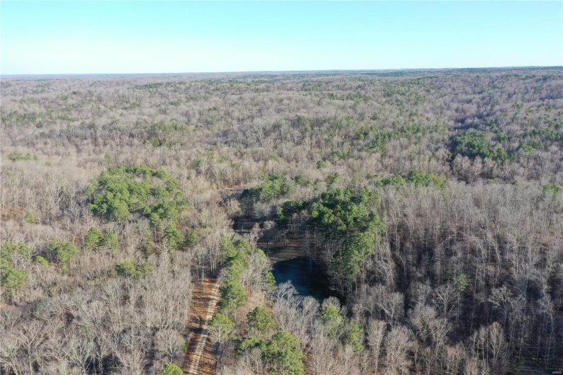 0 Log RD, Patterson, Missouri 63956, 2 Bedrooms Bedrooms, 6 Rooms Rooms,2 BathroomsBathrooms,Farm,For Sale,Log RD,MAR25017390