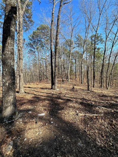 0 Log RD, Patterson, Missouri 63956, 2 Bedrooms Bedrooms, 6 Rooms Rooms,2 BathroomsBathrooms,Farm,For Sale,Log RD,MAR25017390