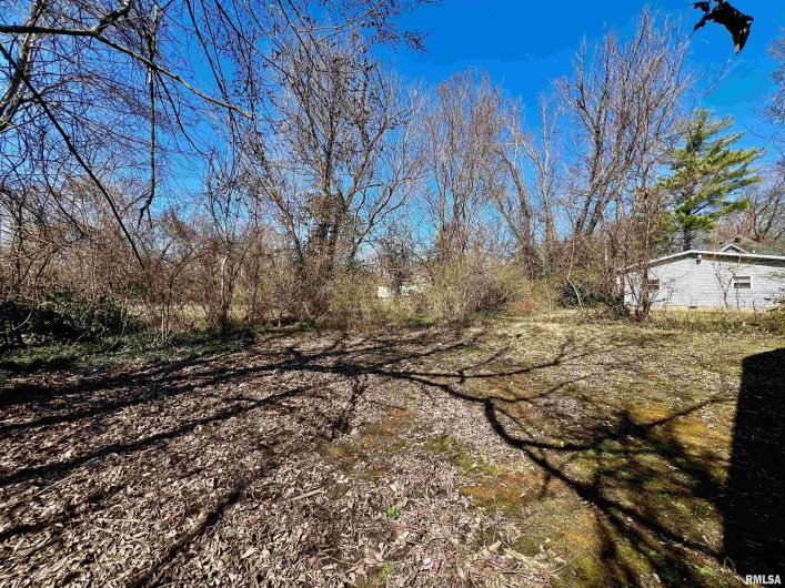 422 Brush Street, Carbondale, Illinois 62901, 4 Bedrooms Bedrooms, 0 ,2 BathroomsBathrooms,Residential,For Sale,Brush,0,RMAEB457216