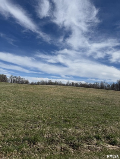 0 Wing Hill Road, Cobden, Illinois 62920, 0 , 0 ,0,Land,For Sale,Wing Hill,0,RMAQC4261592