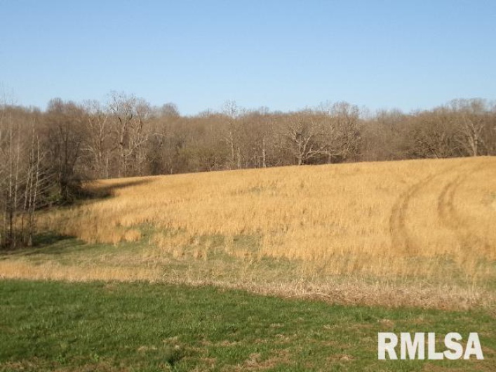 2225 Route 34 Route, Rosiclare, Illinois 62982, 4 Bedrooms Bedrooms, 0 ,2 BathroomsBathrooms,Residential,For Sale,Route 34,0,RMAEB457251