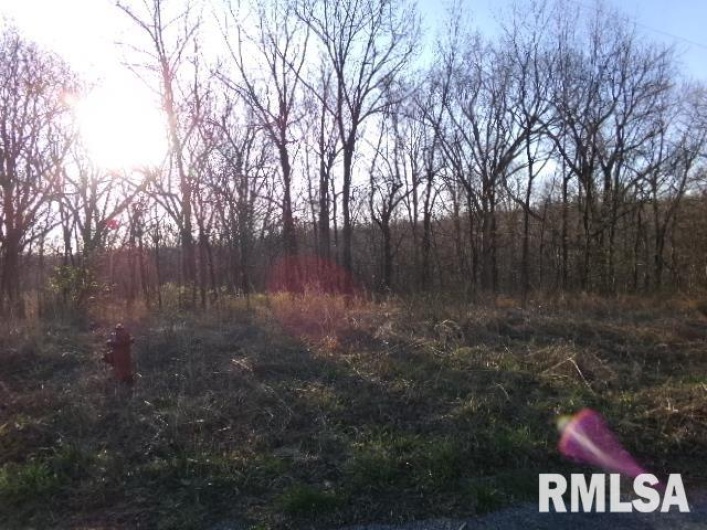 2225 Route 34 Route, Rosiclare, Illinois 62982, 4 Bedrooms Bedrooms, 0 ,2 BathroomsBathrooms,Residential,For Sale,Route 34,0,RMAEB457251