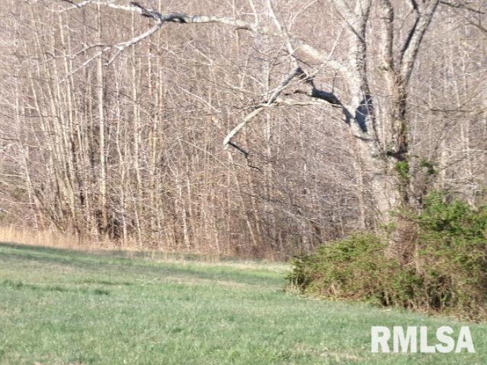 2225 Route 34 Route, Rosiclare, Illinois 62982, 4 Bedrooms Bedrooms, 0 ,2 BathroomsBathrooms,Residential,For Sale,Route 34,0,RMAEB457251