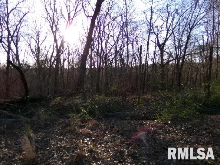 2225 Route 34 Route, Rosiclare, Illinois 62982, 4 Bedrooms Bedrooms, 0 ,2 BathroomsBathrooms,Residential,For Sale,Route 34,0,RMAEB457251