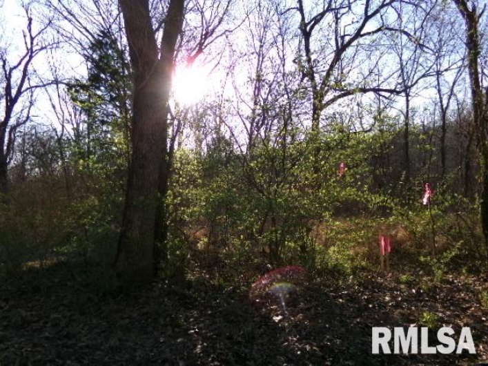 2225 Route 34 Route, Rosiclare, Illinois 62982, 4 Bedrooms Bedrooms, 0 ,2 BathroomsBathrooms,Residential,For Sale,Route 34,0,RMAEB457251