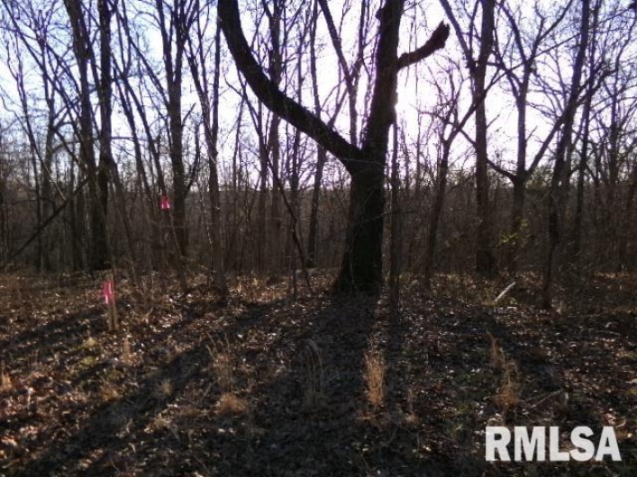 2225 Route 34 Route, Rosiclare, Illinois 62982, 4 Bedrooms Bedrooms, 0 ,2 BathroomsBathrooms,Residential,For Sale,Route 34,0,RMAEB457251