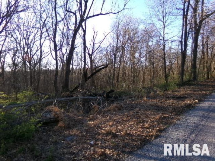 2225 Route 34 Route, Rosiclare, Illinois 62982, 4 Bedrooms Bedrooms, 0 ,2 BathroomsBathrooms,Residential,For Sale,Route 34,0,RMAEB457251