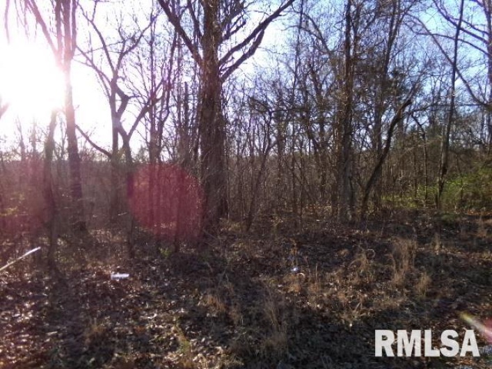 2225 Route 34 Route, Rosiclare, Illinois 62982, 4 Bedrooms Bedrooms, 0 ,2 BathroomsBathrooms,Residential,For Sale,Route 34,0,RMAEB457251