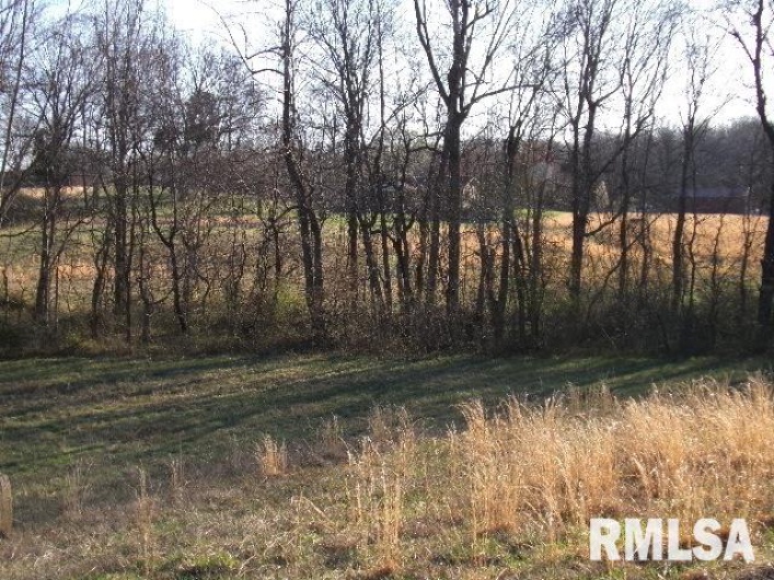 2225 Route 34 Route, Rosiclare, Illinois 62982, 4 Bedrooms Bedrooms, 0 ,2 BathroomsBathrooms,Residential,For Sale,Route 34,0,RMAEB457251
