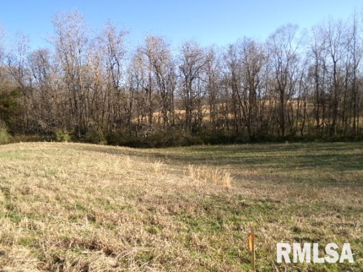 2225 Route 34 Route, Rosiclare, Illinois 62982, 4 Bedrooms Bedrooms, 0 ,2 BathroomsBathrooms,Residential,For Sale,Route 34,0,RMAEB457251